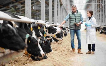🐄 Dairy Farm Insurance: Coverage & Benefits