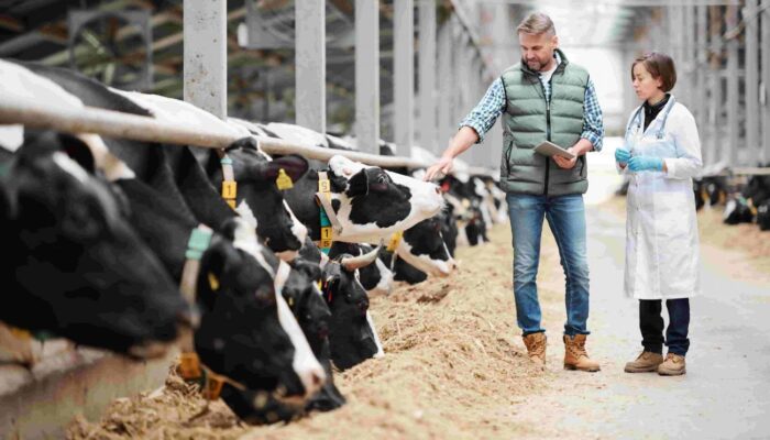 🐄 Dairy Farm Insurance: Coverage & Benefits