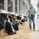 🐄 Dairy Farm Insurance: Coverage & Benefits